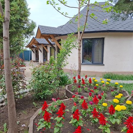 Happy Nomads Yurts & Hostel Karakol Εξωτερικό φωτογραφία