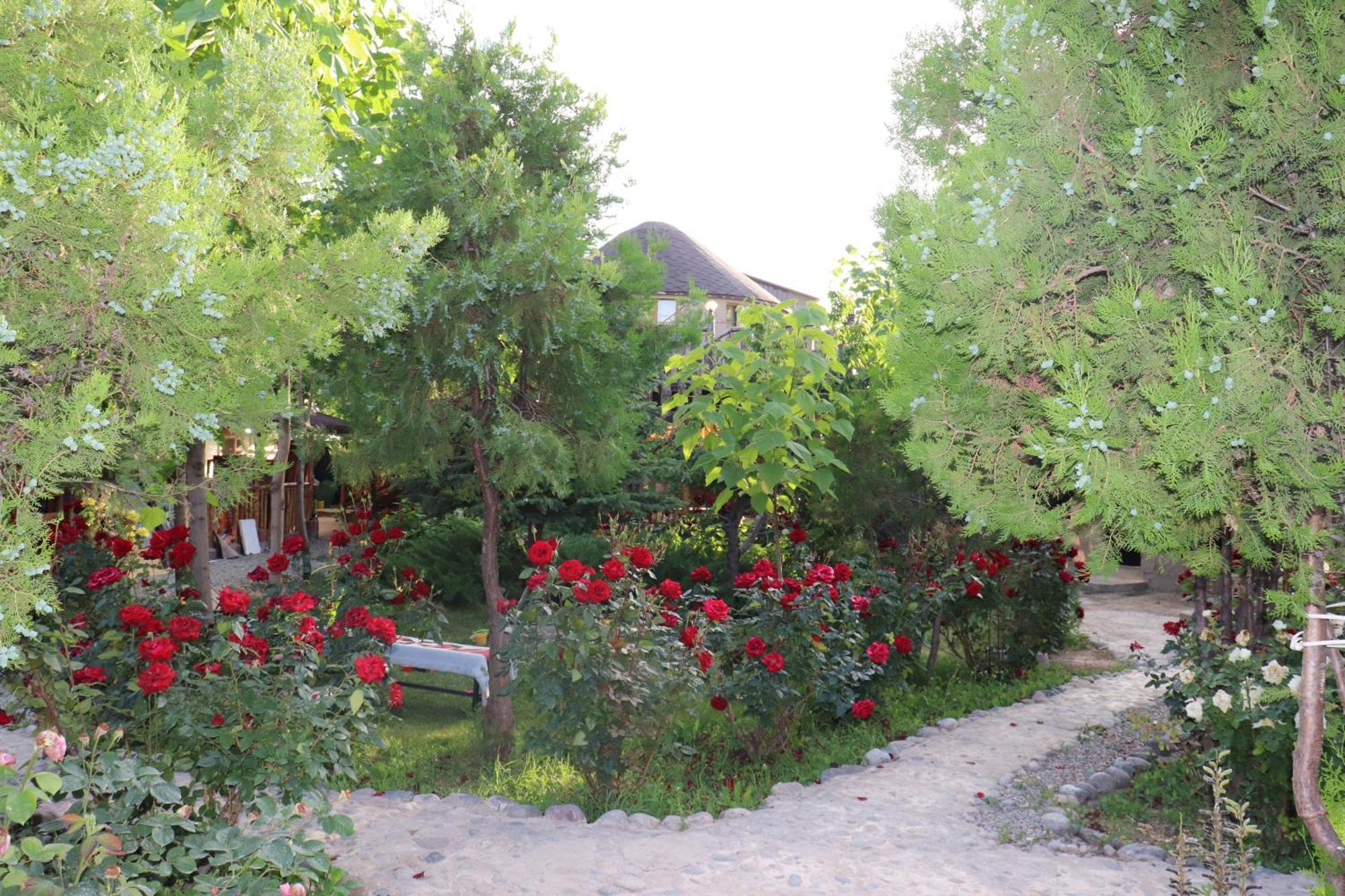Happy Nomads Yurts & Hostel Karakol Εξωτερικό φωτογραφία