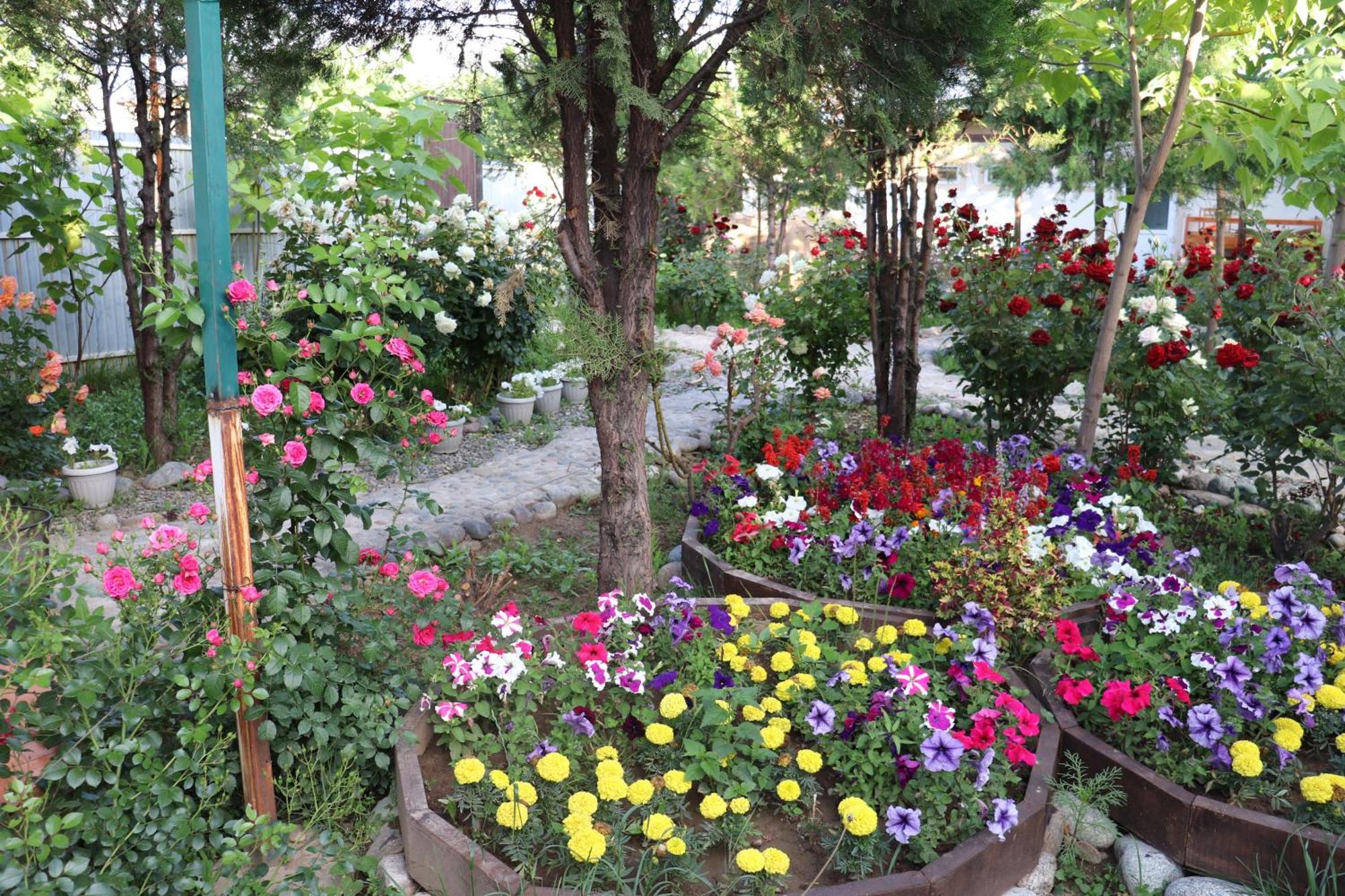 Happy Nomads Yurts & Hostel Karakol Εξωτερικό φωτογραφία