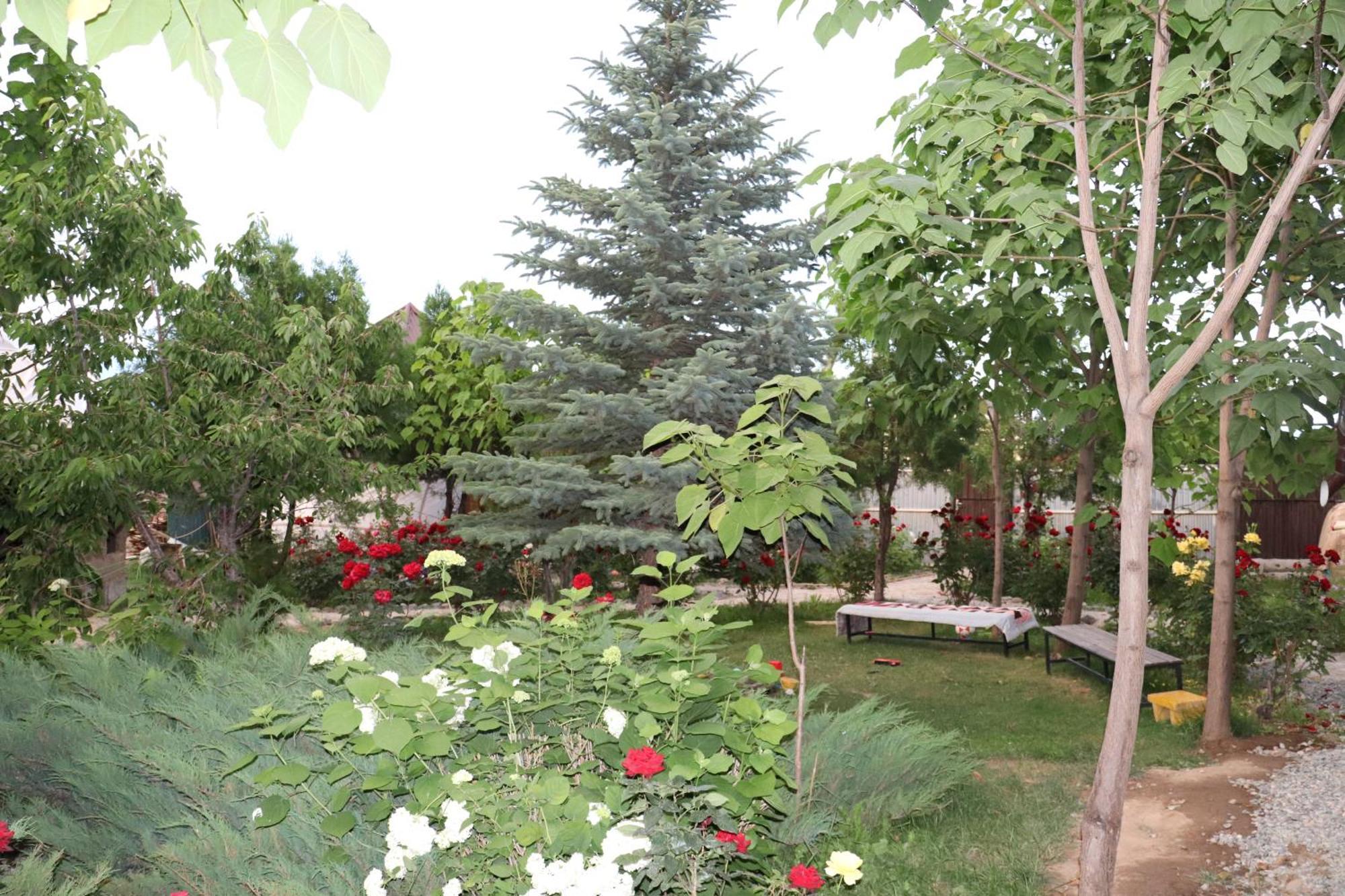 Happy Nomads Yurts & Hostel Karakol Εξωτερικό φωτογραφία