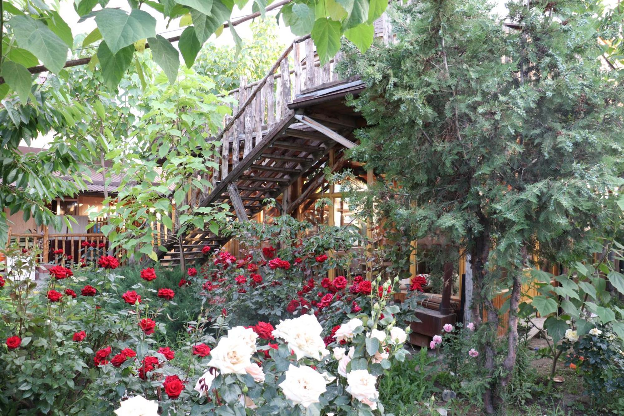 Happy Nomads Yurts & Hostel Karakol Εξωτερικό φωτογραφία