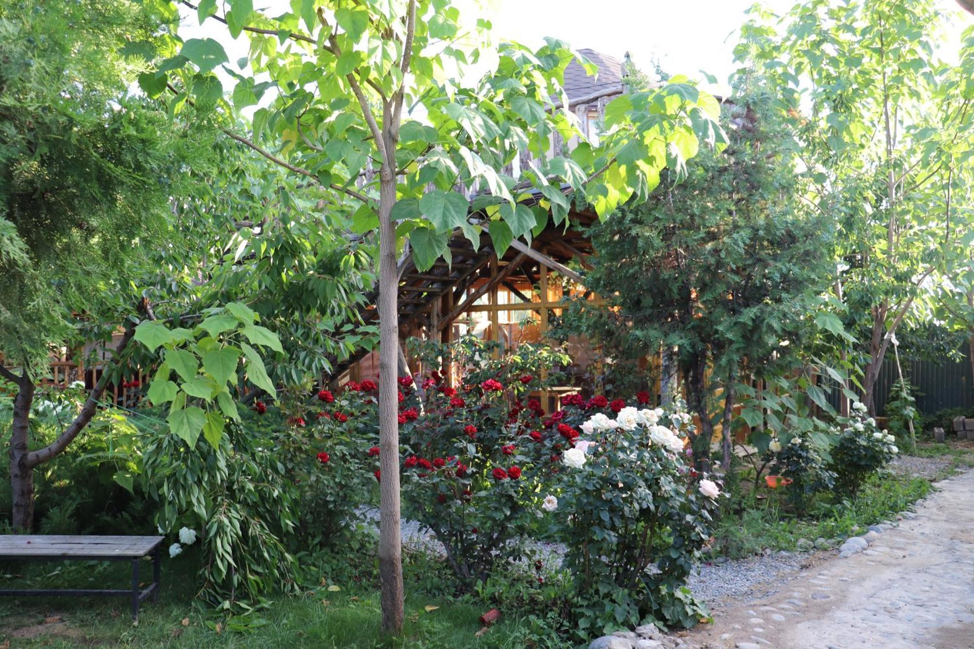 Happy Nomads Yurts & Hostel Karakol Εξωτερικό φωτογραφία