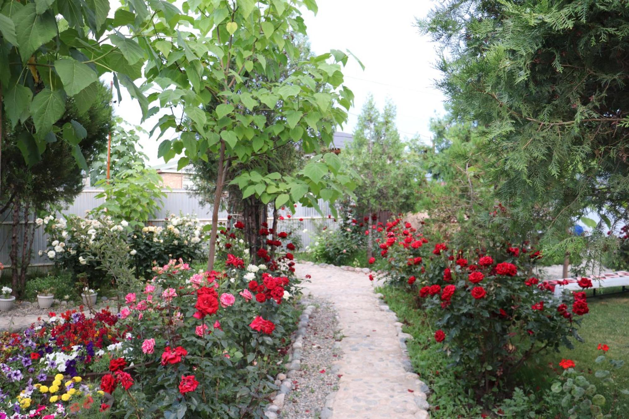 Happy Nomads Yurts & Hostel Karakol Εξωτερικό φωτογραφία