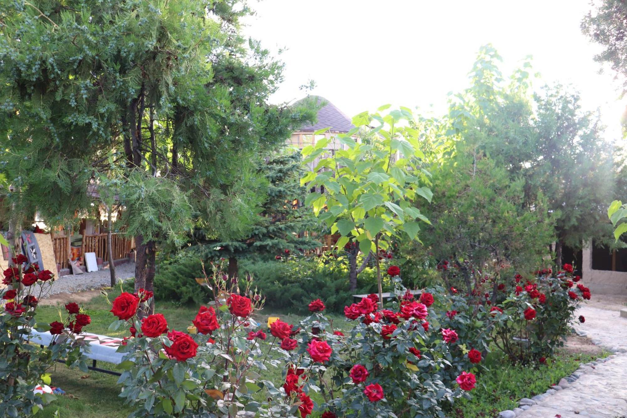 Happy Nomads Yurts & Hostel Karakol Εξωτερικό φωτογραφία