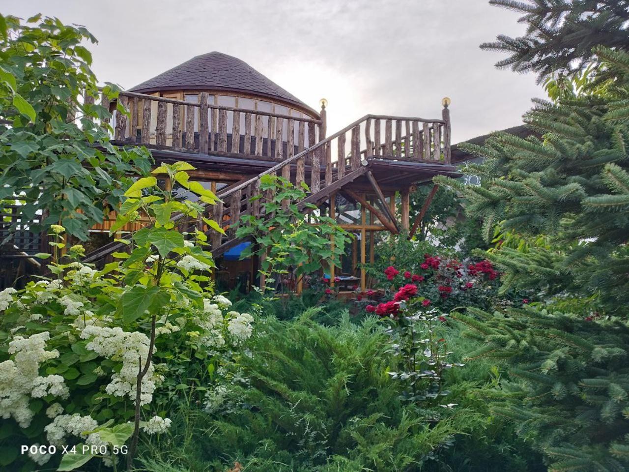 Happy Nomads Yurts & Hostel Karakol Εξωτερικό φωτογραφία