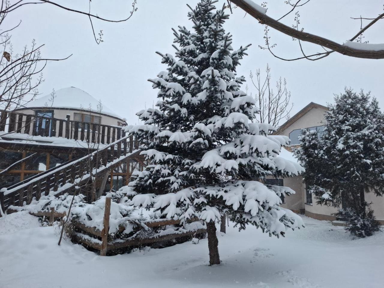 Happy Nomads Yurts & Hostel Karakol Εξωτερικό φωτογραφία