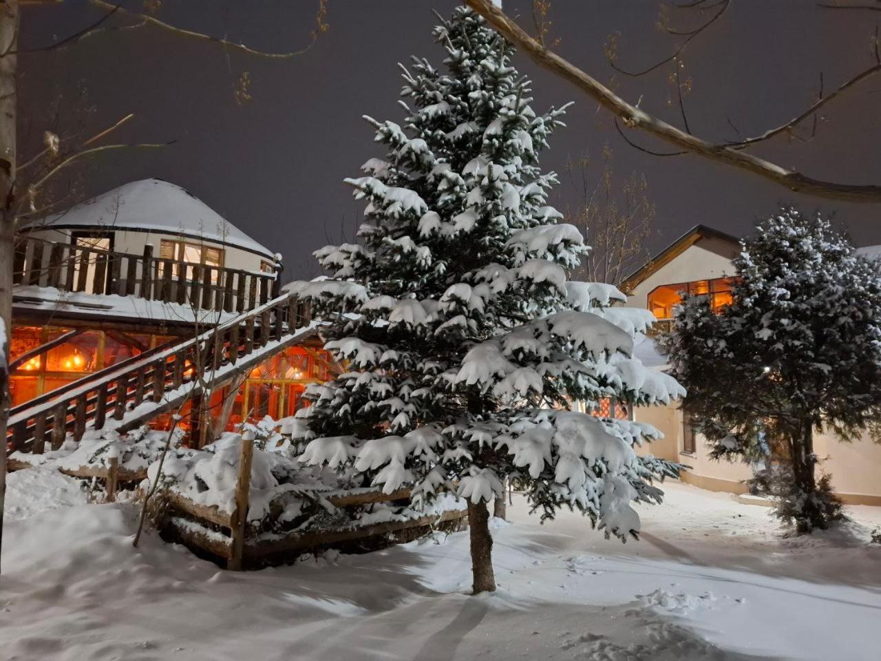 Happy Nomads Yurts & Hostel Karakol Εξωτερικό φωτογραφία