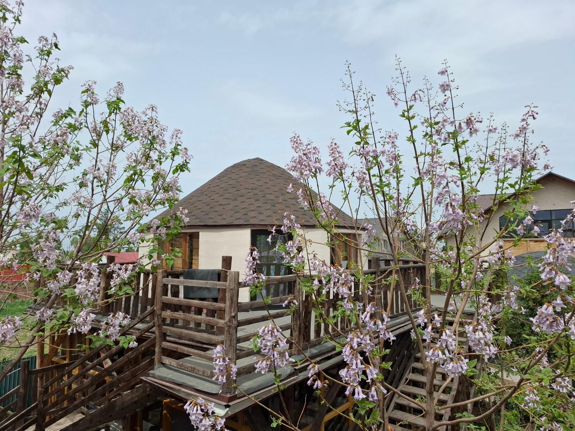 Happy Nomads Yurts & Hostel Karakol Εξωτερικό φωτογραφία
