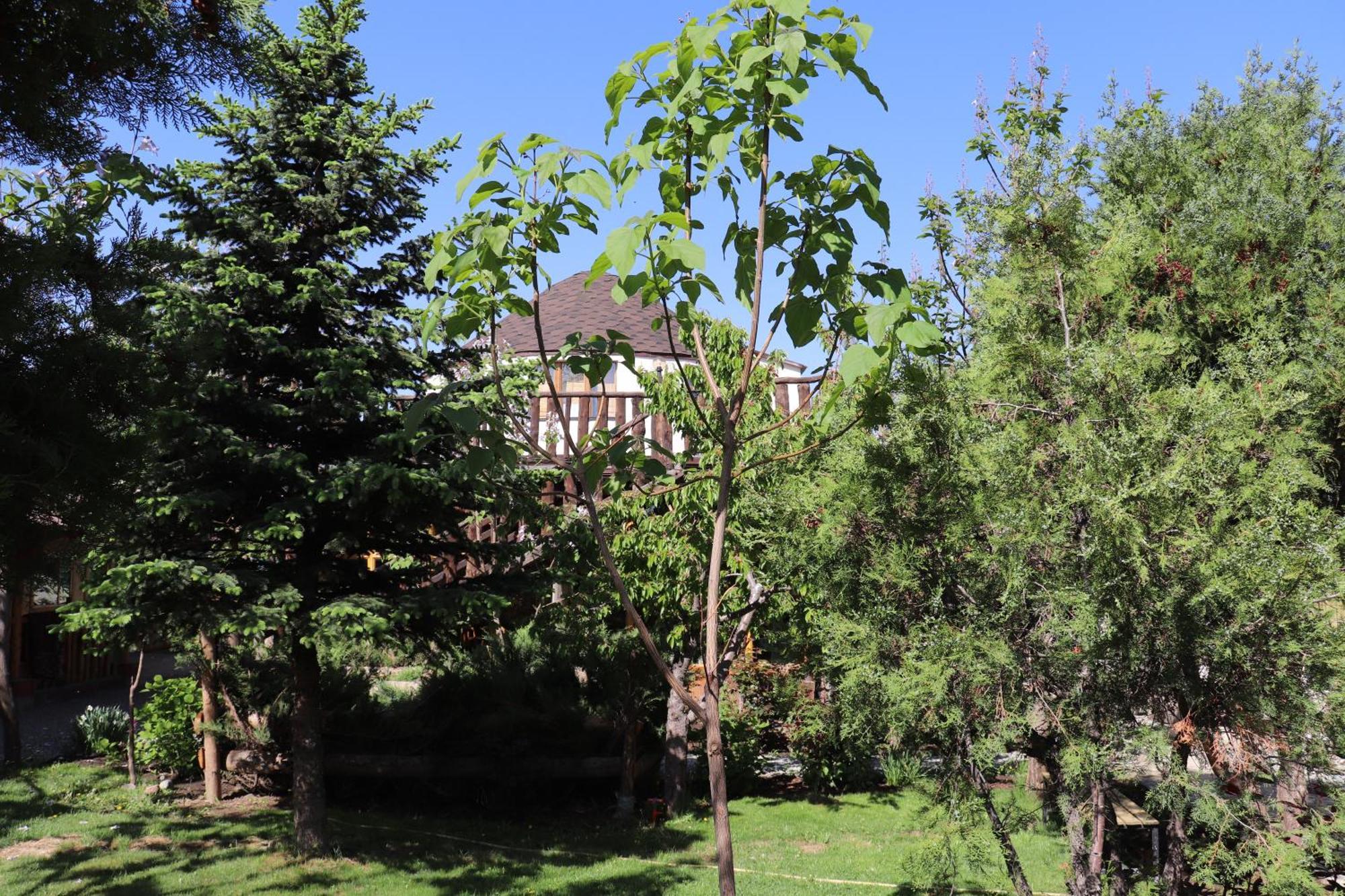 Happy Nomads Yurts & Hostel Karakol Εξωτερικό φωτογραφία