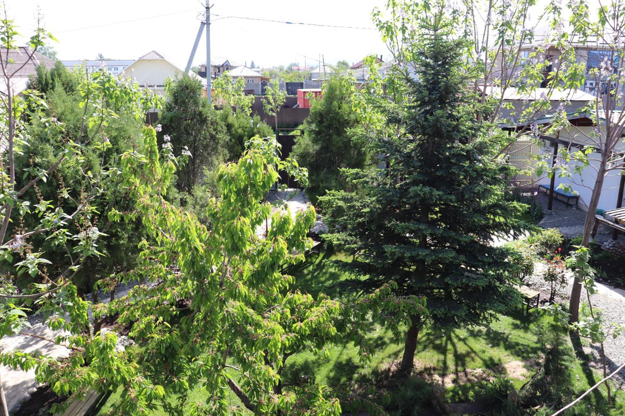 Happy Nomads Yurts & Hostel Karakol Εξωτερικό φωτογραφία